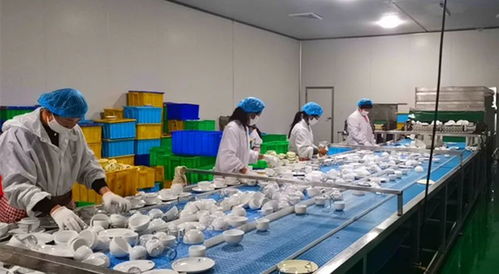山东菏泽强化餐饮具卫生监管，筑牢群众用餐安全防线
